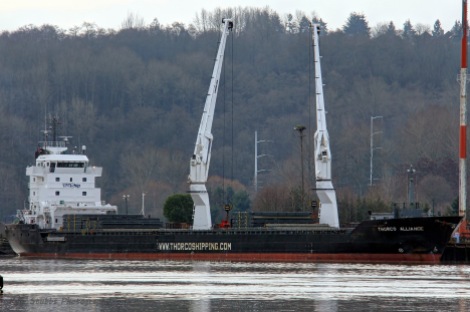 General Cargo Ship Thorco Alliance, built 2012